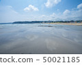The beach 50021185