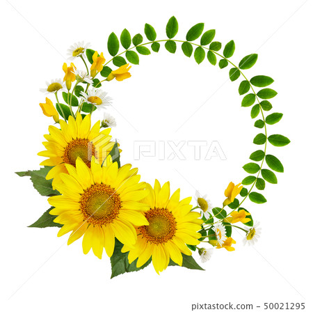 Sunflowers, daisies and acacia flowers and green 50021295