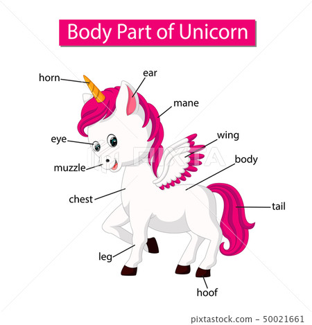 Diagram showing body part of unicorn 50021661