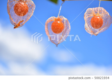 Blue sky and ground lamp Blue sky and ground lamp 50021934