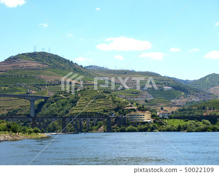 葡萄園和釀酒廠在杜羅河的小山在葡萄牙 葡萄園和釀酒廠在杜羅河的小山在葡萄牙 50022109
