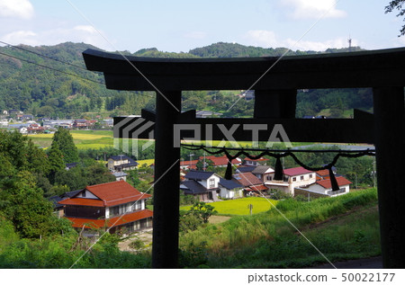 你想要從Torii農村地區 你想要從Torii農村地區 50022177