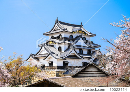 National Treasure Hikone Castle 50022554