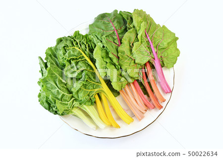 五顏六色的瑞士牛皮菜 五顏六色的瑞士牛皮菜 50022634