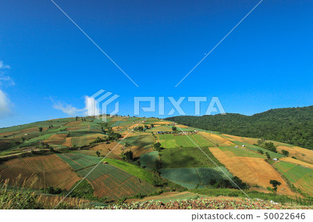 Asia, Thailand, Beauty, Cloud - Sky, Environment 50022646
