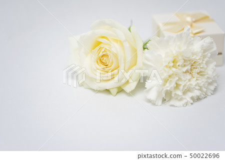 禮物白花 50022696