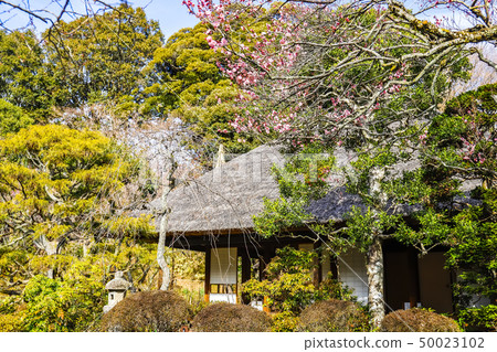 [Tokyo Hino City] Hyakusaen 50023102