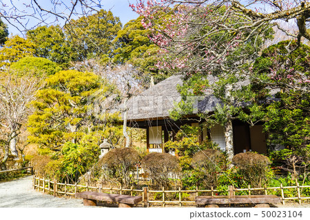 [東京日野市]百草園 50023104