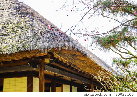 [Tokyo Hino City] Hyakusaen 50023106