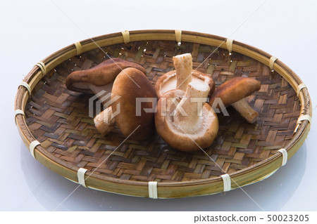 香菇,生香菇,キノコ、生キノコ、Mushrooms, raw mushrooms, 香菇,生香菇,キノコ、生キノコ、Mushrooms, raw mushrooms, 50023205