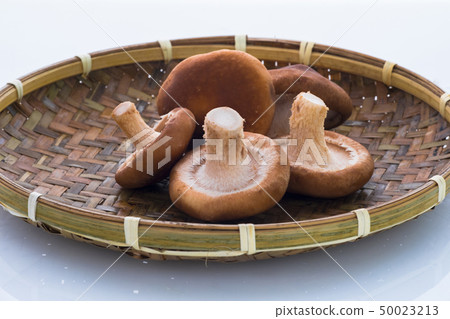 香菇,生香菇,キノコ、生キノコ、Mushrooms, raw mushrooms, 香菇,生香菇,キノコ、生キノコ、Mushrooms, raw mushrooms, 50023213