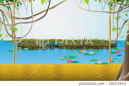 vector, bamboo, boat 50023443
