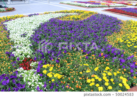 花壇 50024583