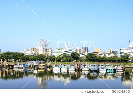 Taiai River (early summer) 50024800