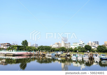 Taiai River (early summer) 50024801