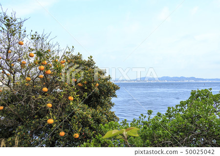 Kanada fishing port (spring) 50025042
