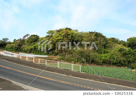 場(春天) 場(春天) 50025338