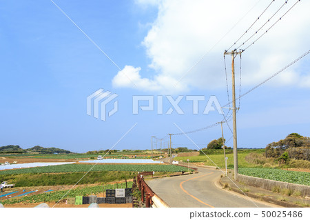 Field (spring) 50025486
