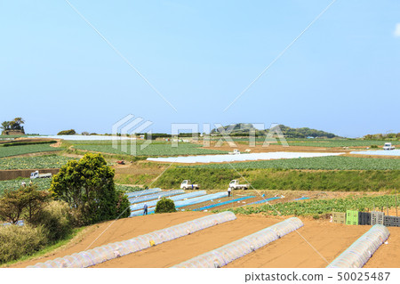 場(春天) 場(春天) 50025487