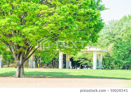 Tokyo Nerima-ku spring light hill park 50026541
