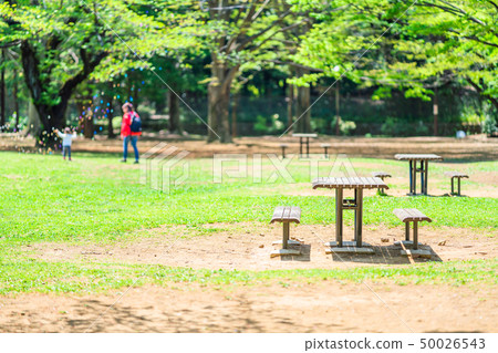 東京練馬區春光山公園 50026543