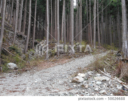 在山的後面的石渣路 50026688