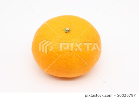 Fruit: Natsumi citrus orange Fruit: Natsumi citrus orange 50026797
