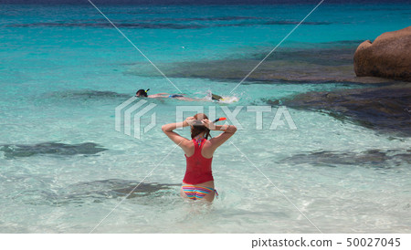swimming swimming 50027045