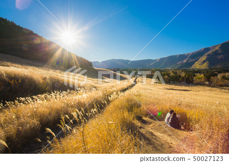 A couple and a golden grassland in Sengokuhara A couple and a golden grassland in Sengokuhara 50027123