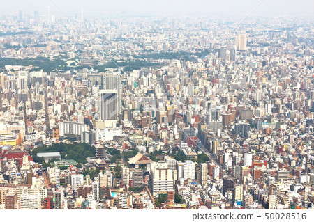 隅田區的風景 隅田區的風景 50028516
