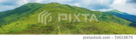 beautiful summer landscape in mountains beautiful summer landscape in mountains 50028679