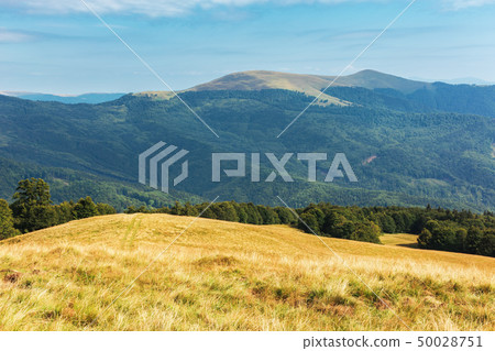 wonderful mountain landscape in late summer 50028751