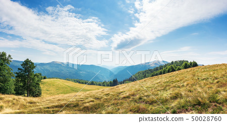 wonderful mountain landscape in late summer wonderful mountain landscape in late summer 50028760