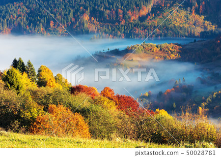 beautiful autumn morning in mountains beautiful autumn morning in mountains 50028781