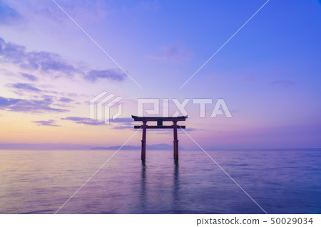 滋賀縣白rah神社 滋賀縣白rah神社 50029034