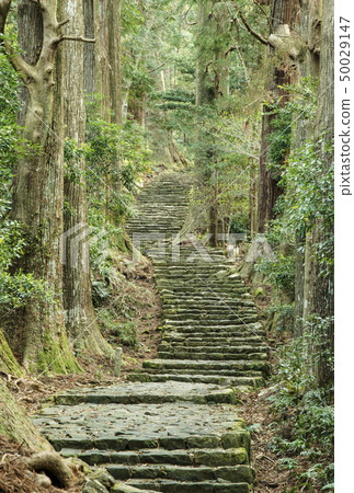 Kumano Kodo Daimonzaka Kumano Nachi Taisha Stock Photo