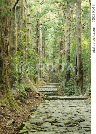 Kumano Kodo Daimonzaka Kumano Nachi Taisha Nachi Katsuura sightseeing 50029148
