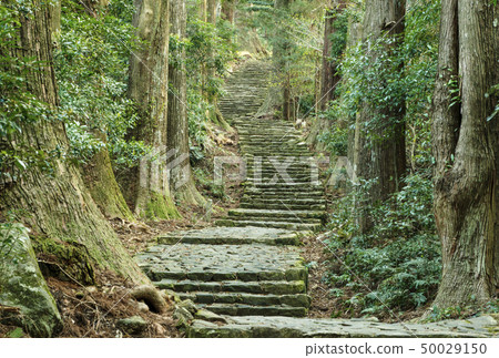 Kumano Kodo Daimonzaka Kumano Nachi Taisha Nachi Katsuura觀光 50029150
