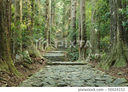 Kumano Kodo Daimonzaka Kumano Nachi Taisha Nachi Katsuura觀光 50029152