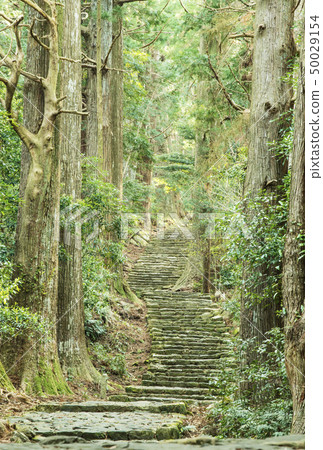 Kumano Kodo Daimonzaka Kumano Nachi Taisha Nachi Katsuura sightseeing 50029154