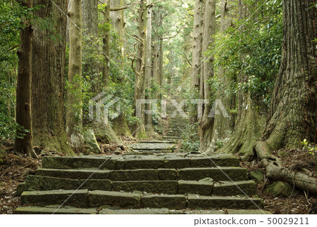 Kumano Kodo Daimonzaka Kumano Nachi Taisha Stock Photo