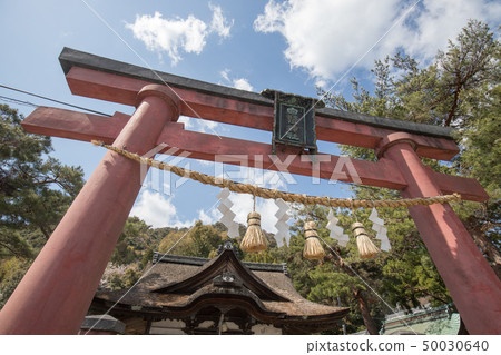 白井神社 50030640