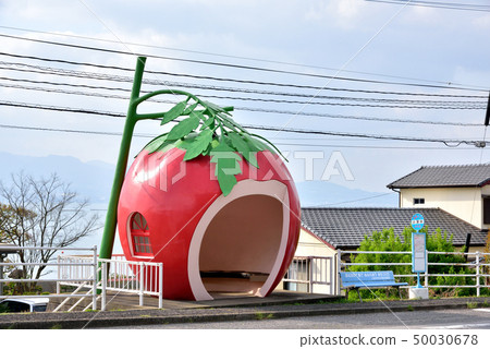 水果巴士站Kofukai巴士站長崎縣諫早市Konagai鎮 水果巴士站Kofukai巴士站長崎縣諫早市Konagai鎮 50030678