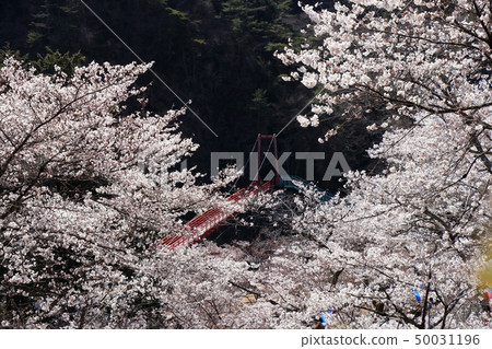 Yari Festival Mountain Bridge Yari Festival Mountain Bridge 50031196