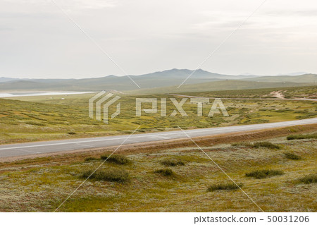 asphalt road in the Mongolian steppe 50031206