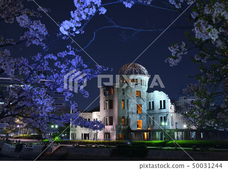 A-bomb dome and the night view of the cherry blossoms A-bomb dome and the night view of the cherry blossoms 50031244