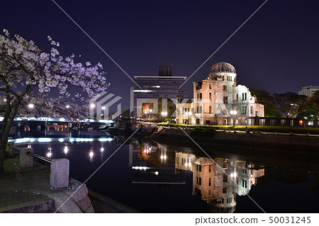 A-bomb dome and the night view of the cherry blossoms A-bomb dome and the night view of the cherry blossoms 50031245
