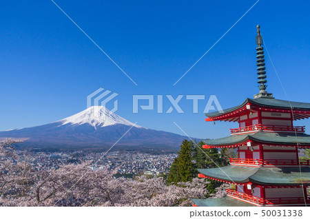 富士山,五層寶塔和櫻花 富士山,五層寶塔和櫻花 50031338