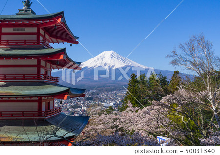Mt.Fuji, the five-storied pagoda and cherry blossoms Mt.Fuji, the five-storied pagoda and cherry blossoms 50031340