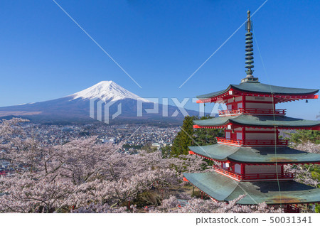富士山,五層寶塔和櫻花 富士山,五層寶塔和櫻花 50031341